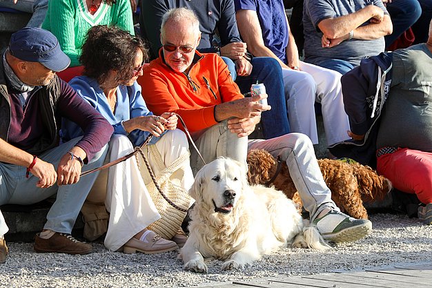 Die Bilder zeigen Impressionen der Notte Italiana am Eckert Beach mit Live-Musik von I CANTAUTORI, zahlreichen Gästen, sommerlicher Atmosphäre, italienischen Spezialitäten sowie entspannten und ausgelassenen Momenten am Wasser.