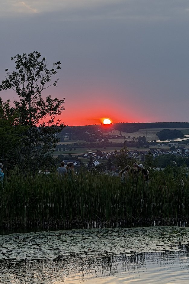 Die Bilder zeigen Eindrücke der Rock-Nacht am Eckert Beach. Zu sehen sind die Live-Auftritte der Bands Rusty Road Runners und ACBarbingCity´25, zahlreiche Besucherinnen und Besucher vor der Bühne sowie die sommerliche Atmosphäre am Strand. In beiden Bands stehen auch Dozenten der Eckert Schulen auf der Bühne. Die Aufnahmen zeigen Musiker, Publikum und die stimmungsvolle Beleuchtung während des Open-Air-Konzerts.